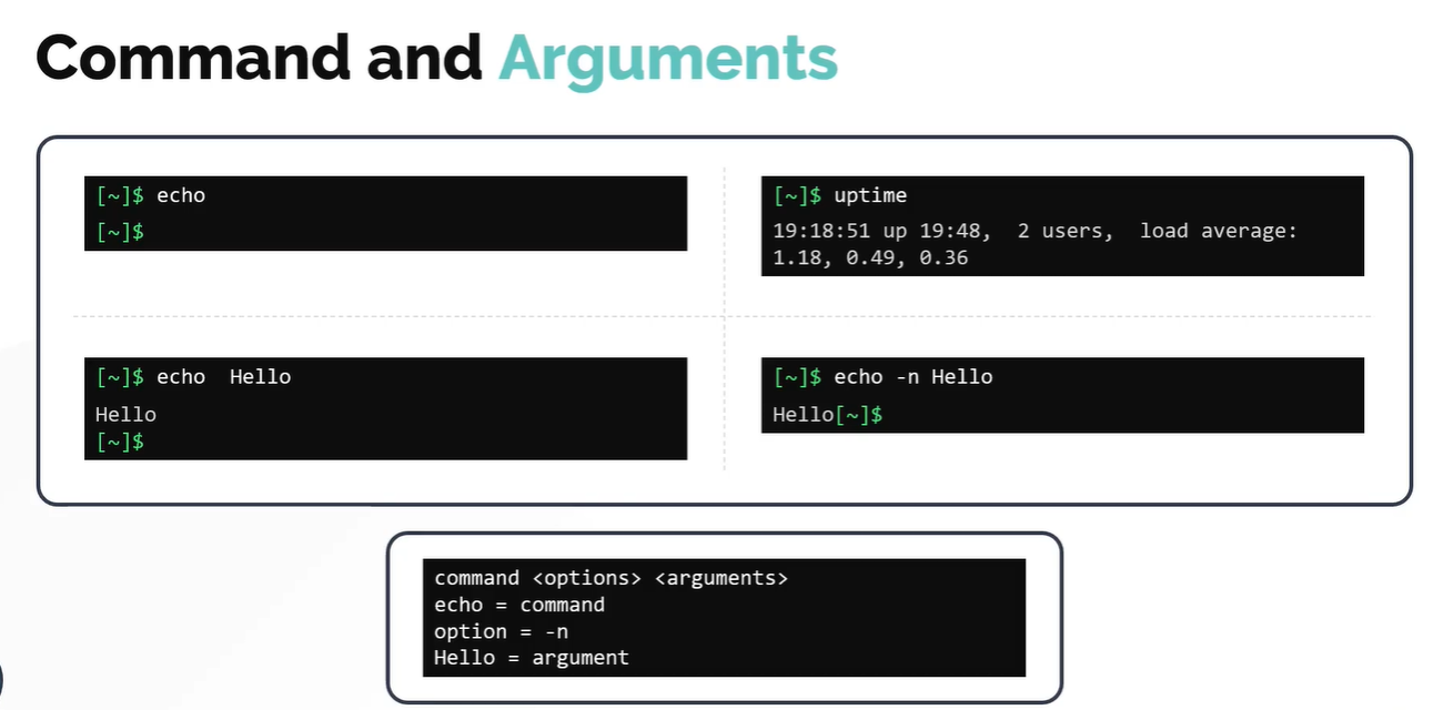 Command-and-Arguments