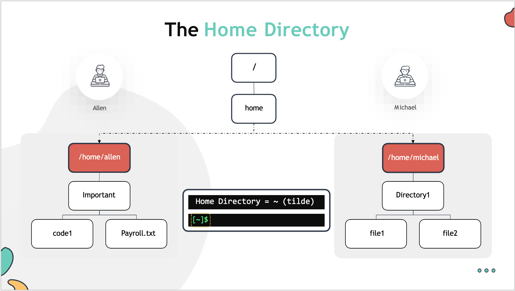 The-Home-Directory