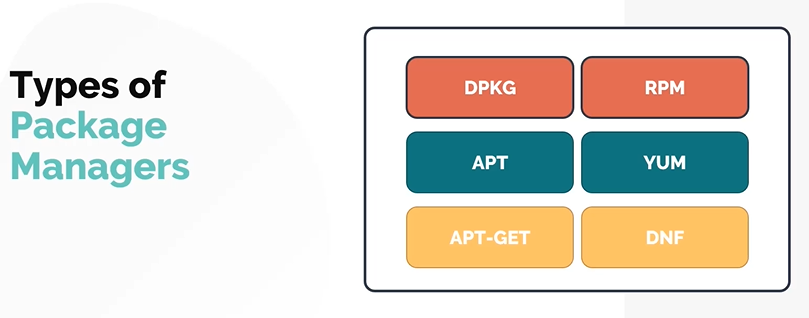 types-of-pkg